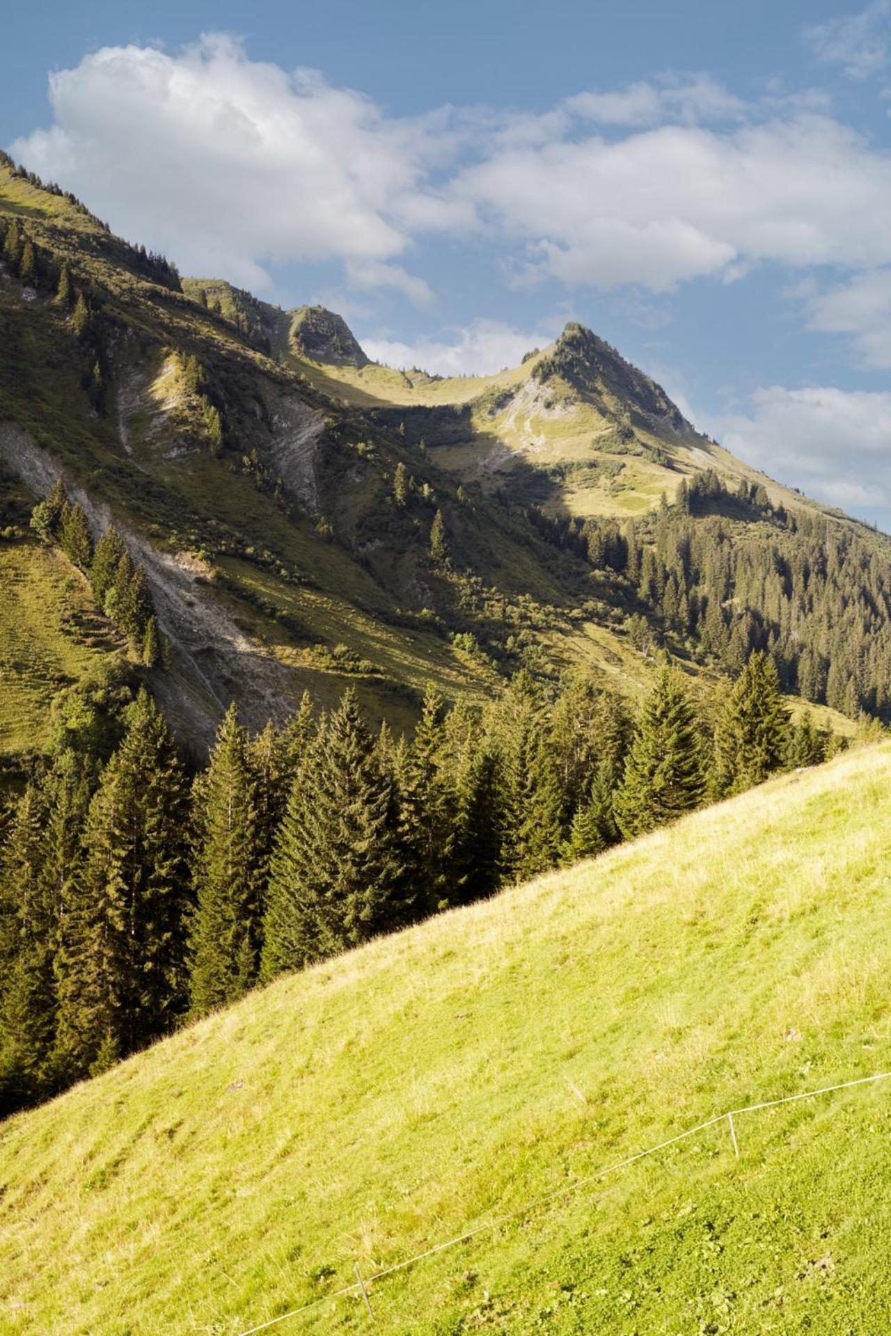 Alpenstolz Damuels Haus 4 - Stilvoll Urlauben In Den Bergen Apartamento Exterior foto